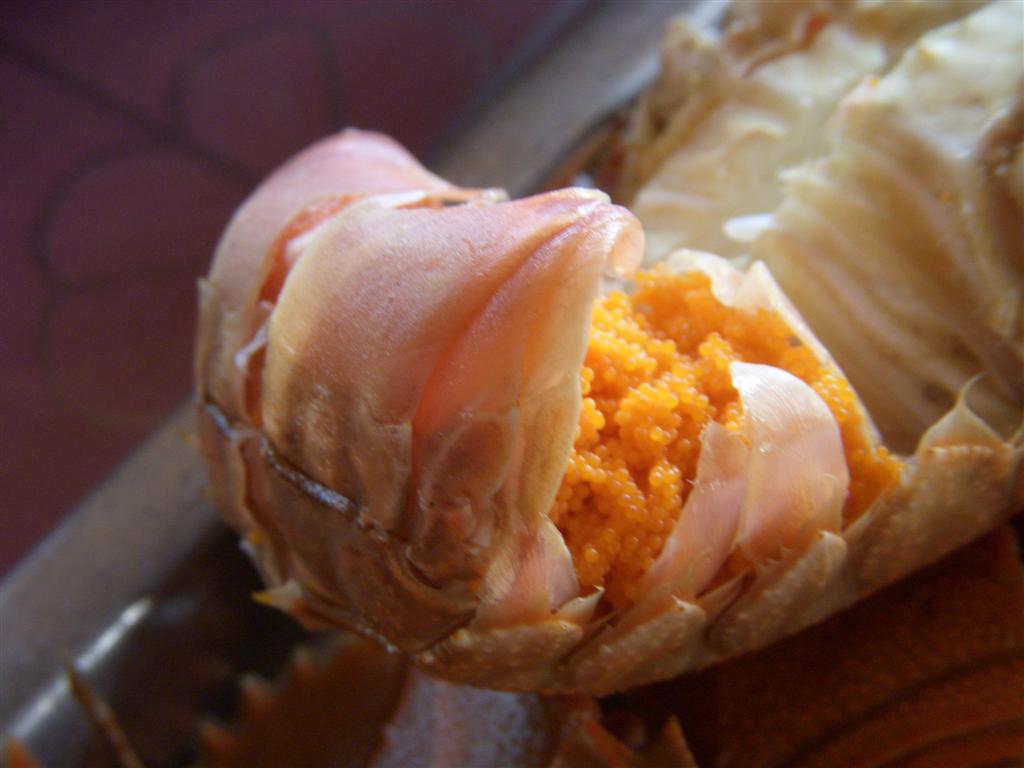 สวัสดีครับน้าSWAD ข้าวด้วยมั้ยครับ
--------------------------------------------------
กั้งกำลังไข่