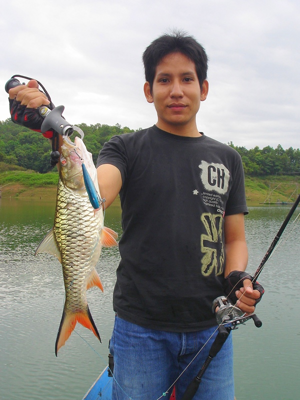 [b]ที น้อง ขอ โชว์ บ้างหล่ะนะ[/b] (ได้หล่อ
