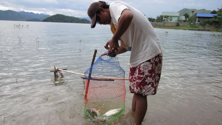 หาปลาเม่น ทำกับแกล้ม สักตัว: SiamFishing : Thailand Fishing Community