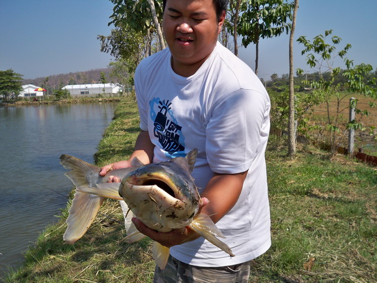 ขออีกรูปนะค่าเหนื่อย :grin: :grin: :grin: