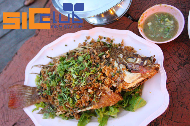 ปลาเกมส์ กลายเป็นปลากินเเล้วครับ