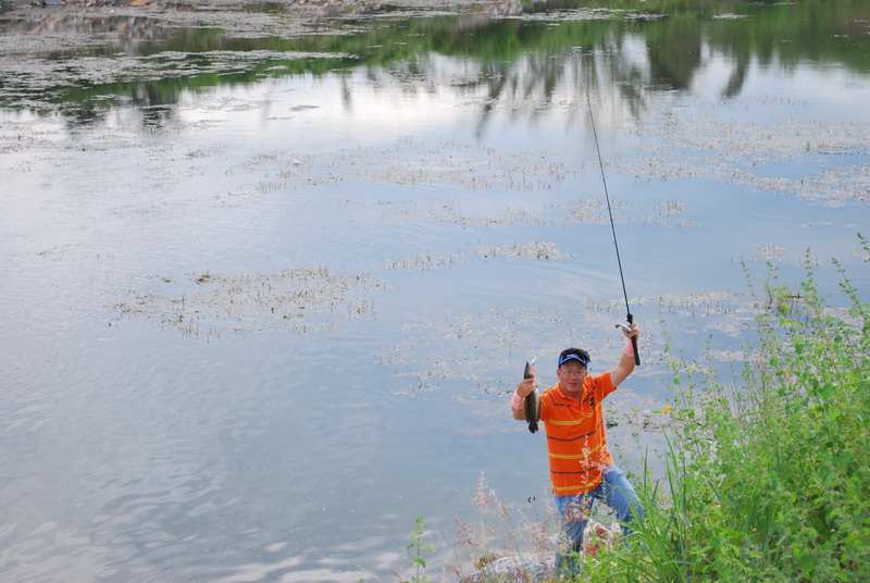 ได้มาแล้วครับน้าpondpond สอยปลาช่อนมาหนึ่งหน่วย :umh: :umh: :umh: :umh: :smile: