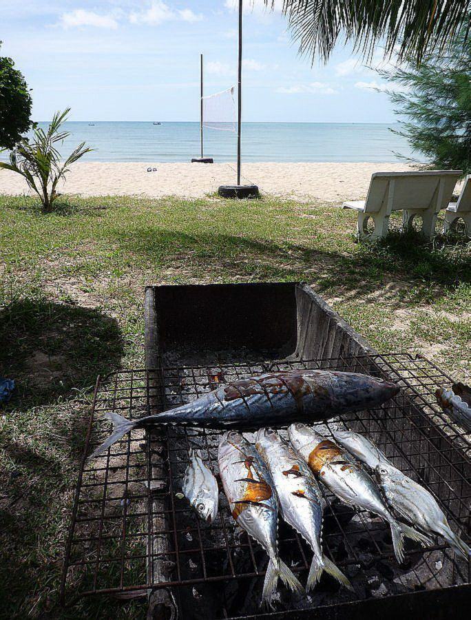 พอเริ่มสายๆ ตาหนวด และครอบครัวได้พ