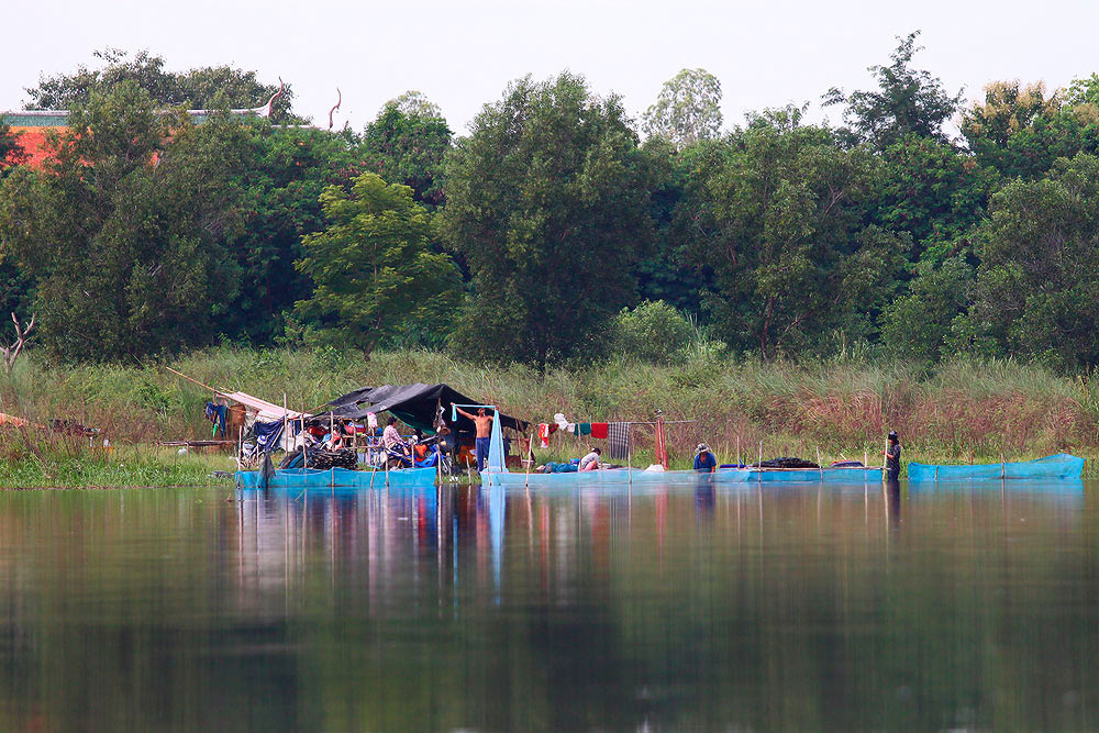 ทั้งทริพ   ปลาชาร์จพี่เล็กทีเดียว    ลากมาจนถึงข้างเรือ   แล้วมัน ก็กระชากอย่างแรง จากไปด้วยความเสีย