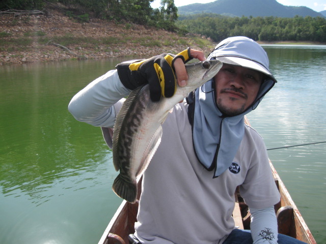  :grin: :grin:  นี่ก้อปลา น้าเอก ช่วงบ่ายคร๊า�