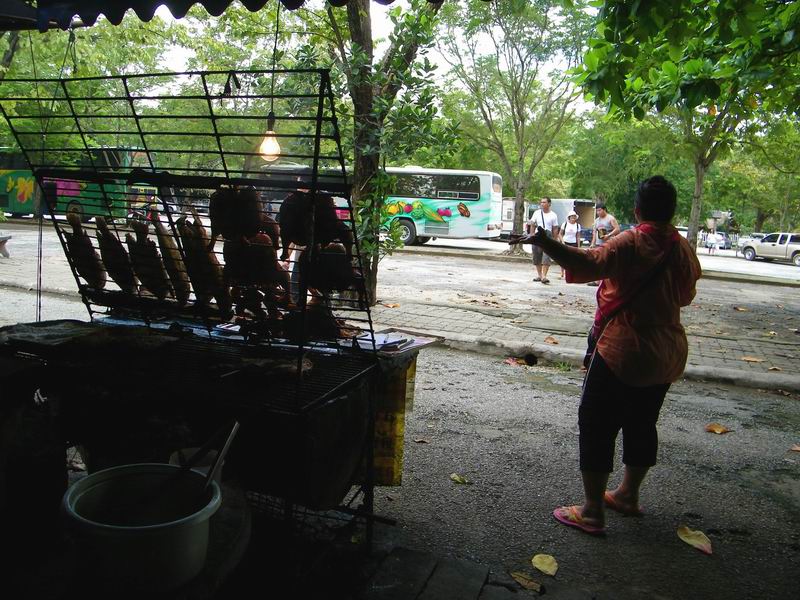  [b]แล้วก้อม่ายได้เป็นแค่ร้านเดียวนะคร้า...อย่างที่น้าๆ เห็นเนี่ยแหละคร้า...แล้วจาตัดสินจัยซื้อร้านไ