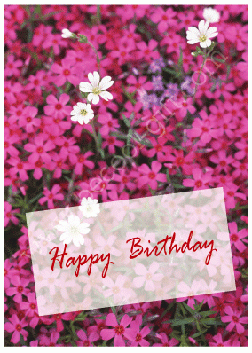 HAPPY BIRTH DAY na krab

สุขสันติ์วันเกิดนะครับน้ามาด ขอให้ ไม่เจ็บ ไม่จน และที่สำคัญ ไม่แห้ว นะคร