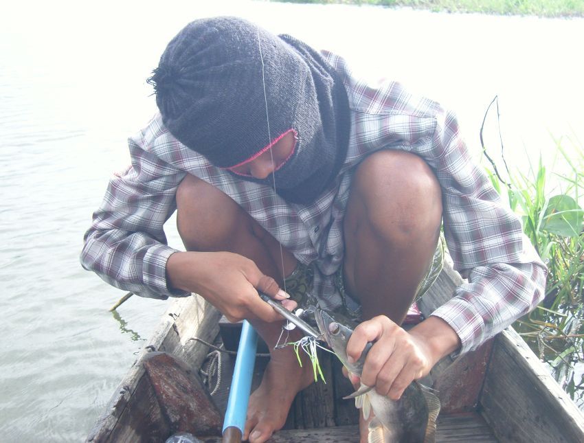 กัดข้างเรือแล้วก็เด้งขึ้นเรือเลยครับ