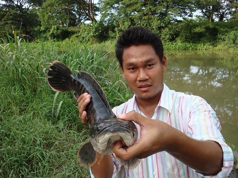 มาได้ 2 วันติดเลย




 :laughing: :laughing: :laughing: :laughing: :laughing:
