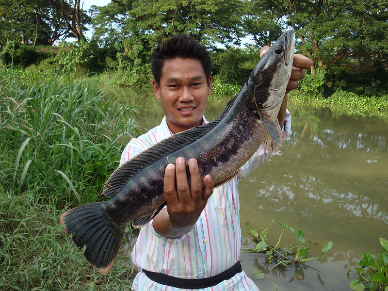 ขอปิดท้ายกันด้วยภาพนี้จ้าขอบคุณน้าทุกท่านที่ตามชมครับ



เดี๋ยวมาทักทายน้าที่หลังนะครับ



ด