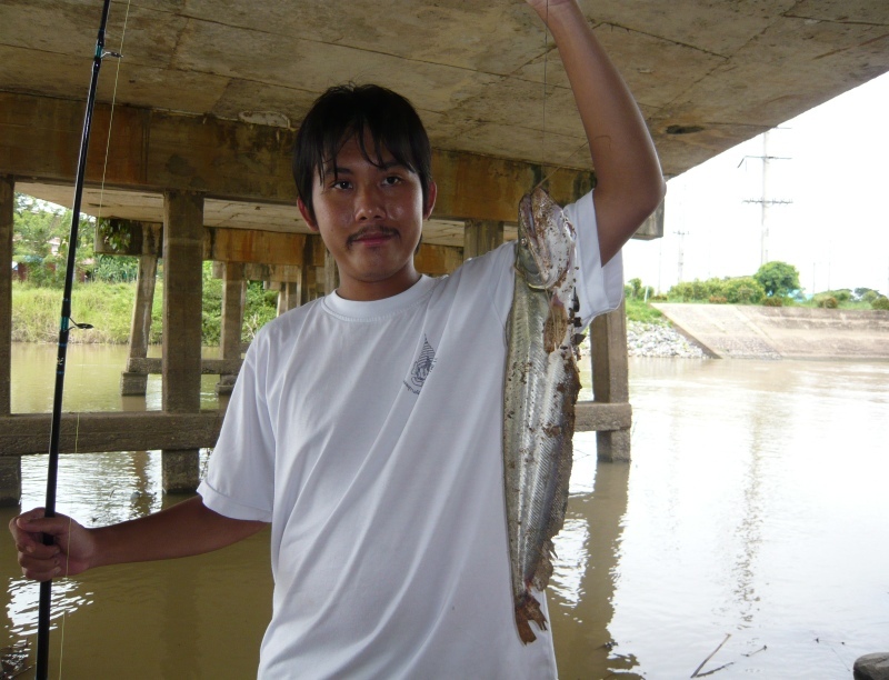 ตะเวนตกปลาหมายธรรมชาติที่อยุธยา