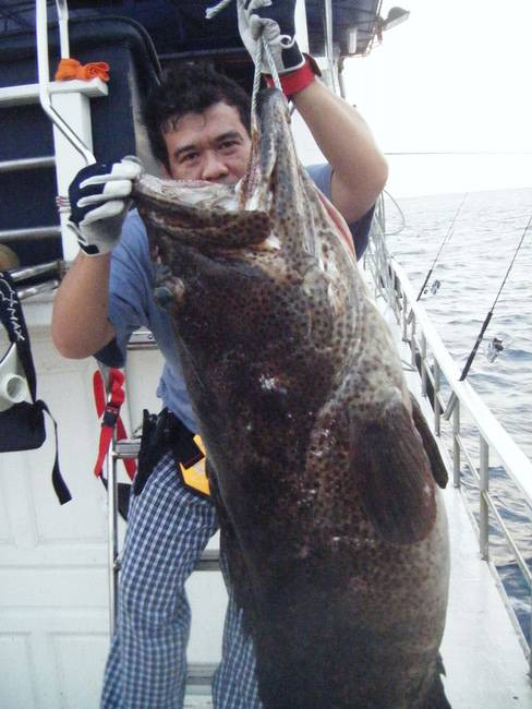 และน้าดอนเก๋าลิงและเก๋าหย่าย หน้าเหมือนกันเลยเนอะ :laughing: :laughing: :laughing: :laughing: :laugh