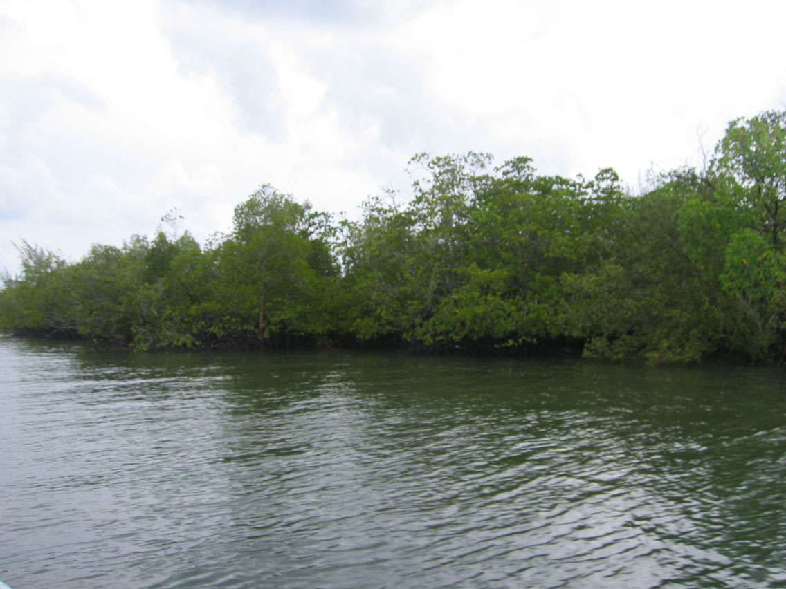 ถึงท่าเรือเกาะมุกแล้วครับ บังสีหนั่นมารออยู่แล้ว ขนของลงเรือแล้วออกเลยครับ เผื่อทันน้ำเย็น  บริเวณนี