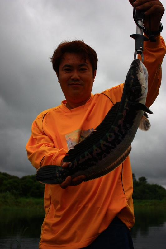 เอาไปเลยครับ คน+ชะโดตัวดำๆ ครับ :laughing: :
