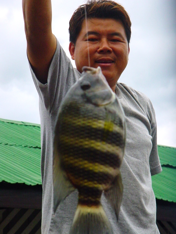 ขออีกรูป ............................... ม่ายว่ากันนะจ๊