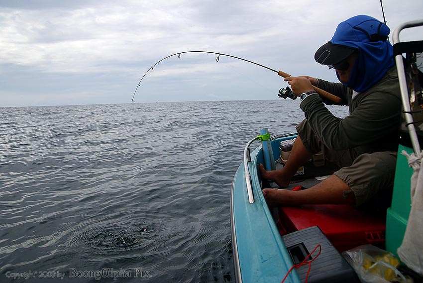 คันเบ็ดเวท 1-6lb ที่เตรียมมาเรียกว่าหมดแอ๊คชั่นไปเลยทีเดียว......แบบนี้เสียวสุดๆ 
ถ้าใครมีโอกาสได้ล