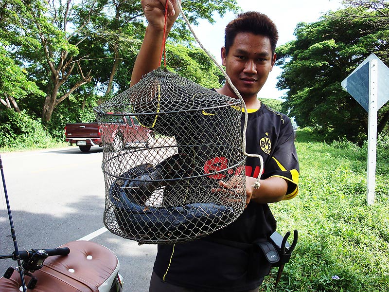 วันนี้เป็นที่ของเรา เอิ๊กๆๆๆๆๆ



 :cheer: :cheer: :cheer: :cheer: :cheer: