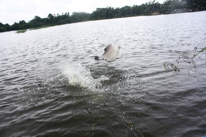 เอ้าโดดข้างเรือเลยเอิกๆๆๆๆๆๆๆๆๆๆ :laughing: :laughing: :laughing: