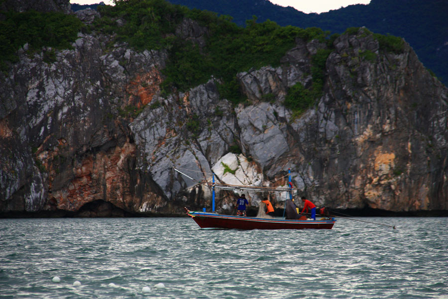 เรือประมงเยอะเลย มาหาปลากันใกล้ๆฝั