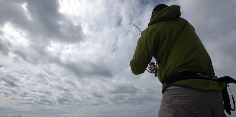 --> Stella SW18000HG
--> Carpenter Blue Lagoon 711/35
--> Daiwa Boat Braid PE6
--> Varivas Shock 