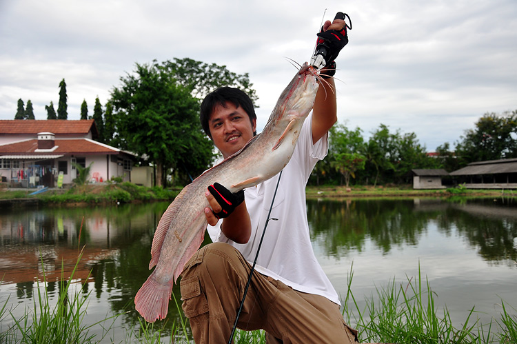 ขอแทรกซักใบคับ เท็กซัสตอนบ่ายๆ วันทำงาน  :laughing:

คัน Air Viper Copper Head 5.8' 4-10lbs.
รอก