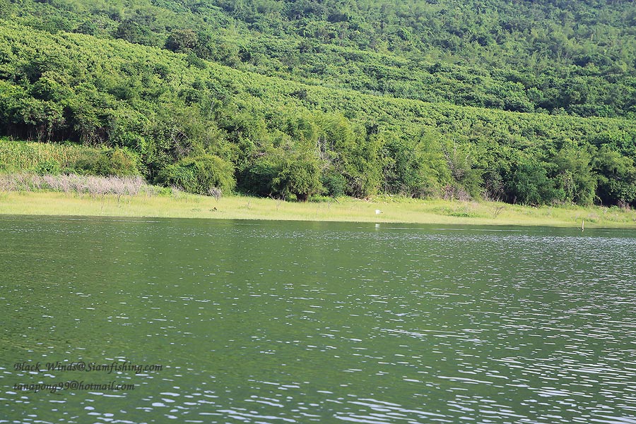  [b]@ ที่นี้ สถานีรถไฟ ลำตะคอง @[/b]

 [q]สวัส