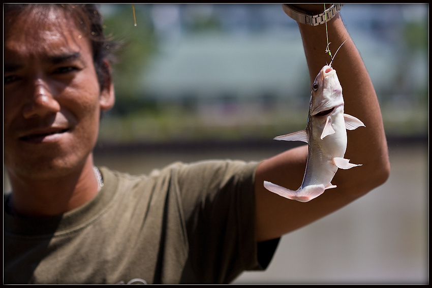       :smile:     น้าเอก ก็ไม่หลาดเหมือนกัน :smile:

   :smile:  สวัสดีครับ น้า abuabu