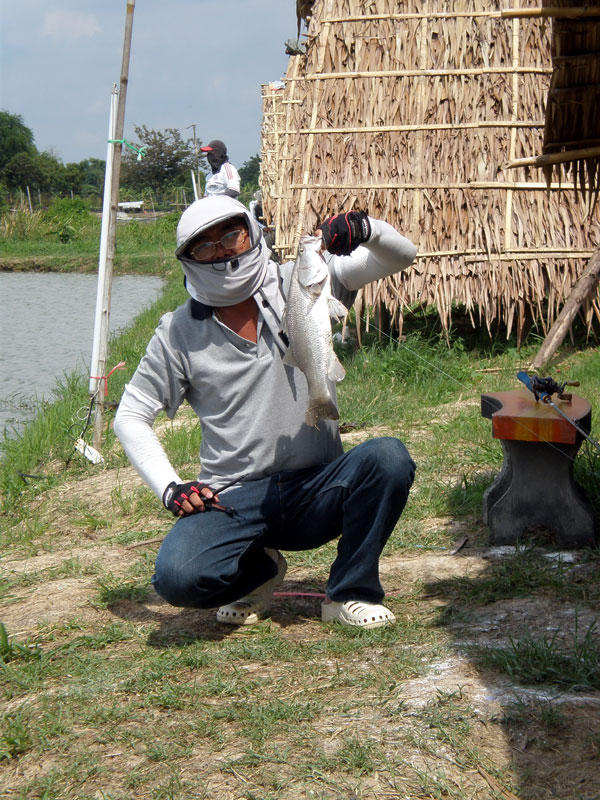 ตัวนี้ประมาณโลครับ :umh:  ขนาดนี้น่านึ่งมะนาวนัก :kiss: