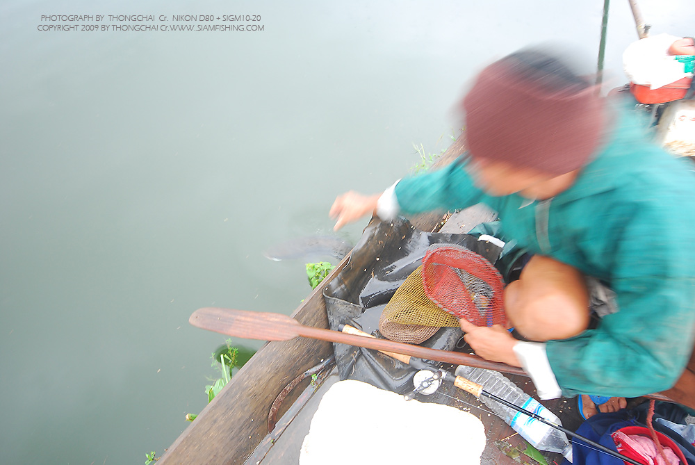 แล้วเจอกันใหม่ รีบๆโตนะ :laughing: :laughing: :laughing: