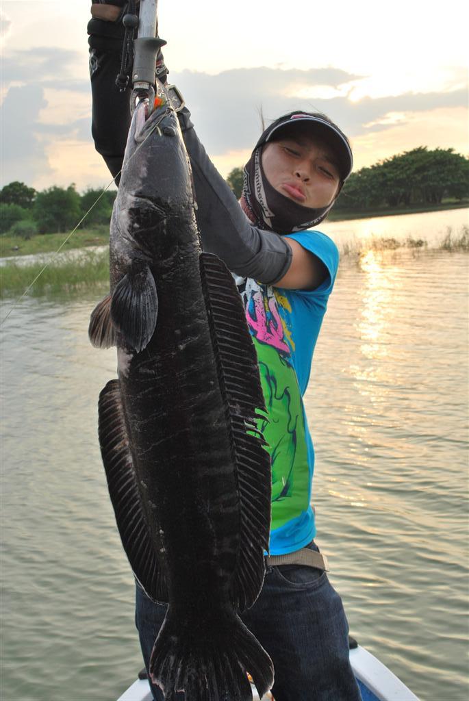 เรืองเด่นเย็นนี้"จอมโจรชือ...ปู ไบรั่ว"