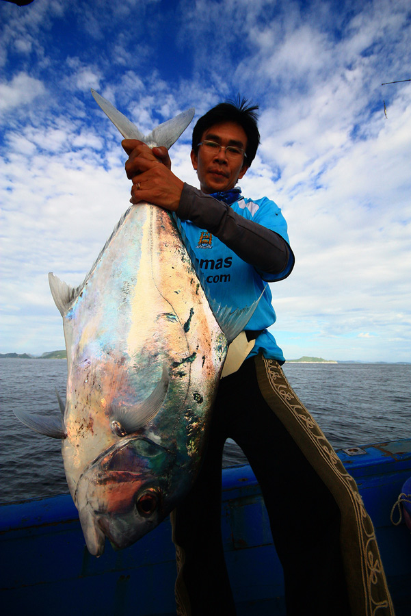  [q]เรารอกินปลาอินทรีกัน  จนแทะเรือหมดทั้งลำแล้วจร้า     [/q]
ป๊าดดดดดดดดดดดด.....ถ้าไม่ได้อินทรีมา