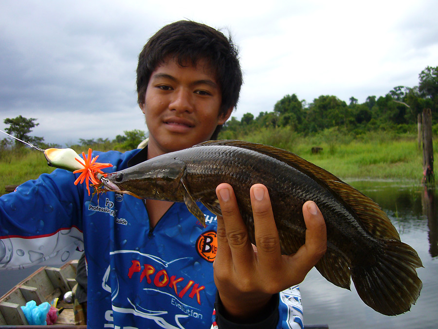 ช่วงเช้าเจ้าเก่งได้กระสงมา1 ตัว แหม..ปลาที่ช้านอยากได้อ่ะ  :grin: