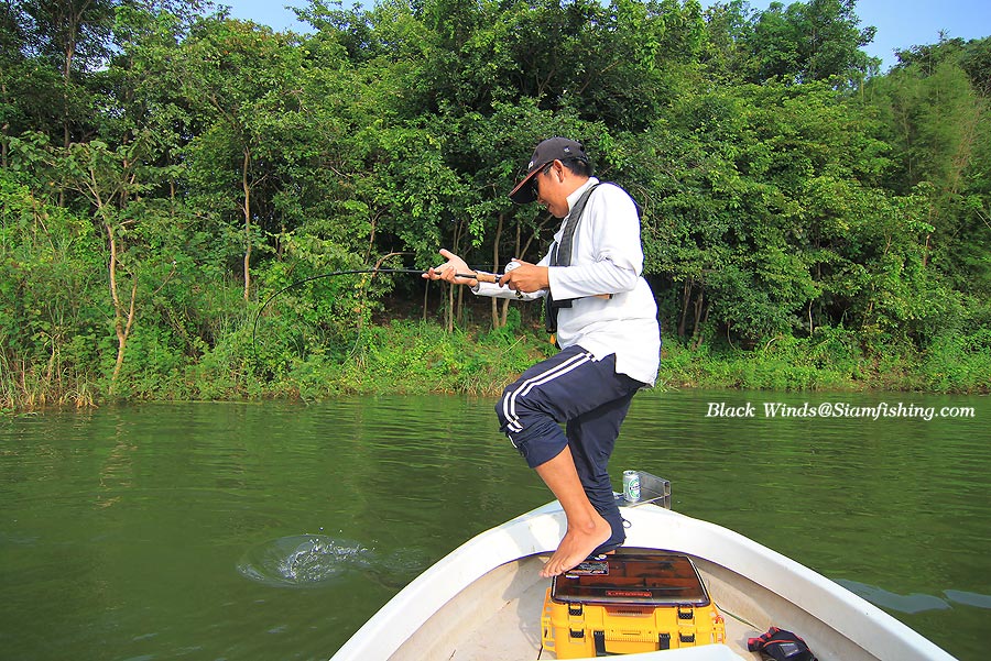 สวัสดี น้า Sadjatum ครับ

**************************

 :ohh: :ohh: :ohh: