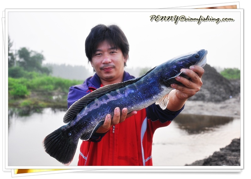 ปลาไม่ใหญ่ แต่มันส์ได้ใจครับ :grin: