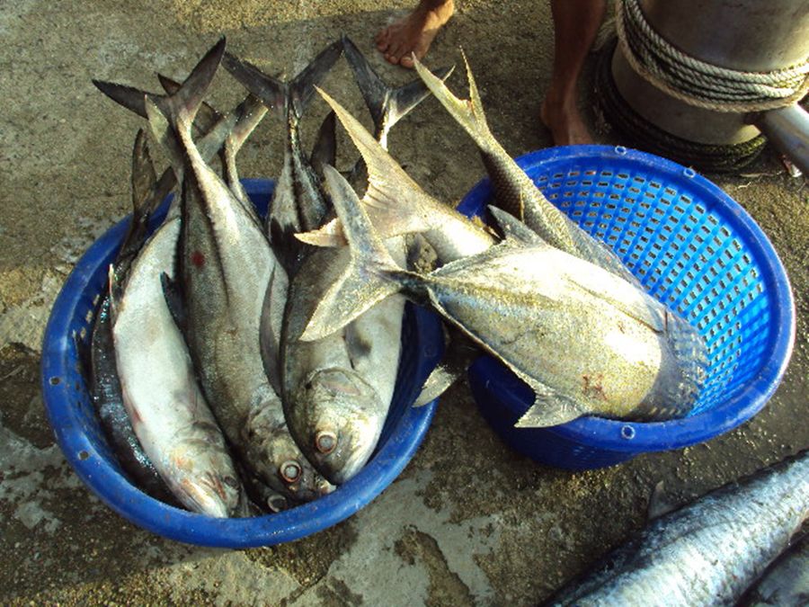 ตาเหลือก 2เข่ง :umh: :umh: :umh: :umh: