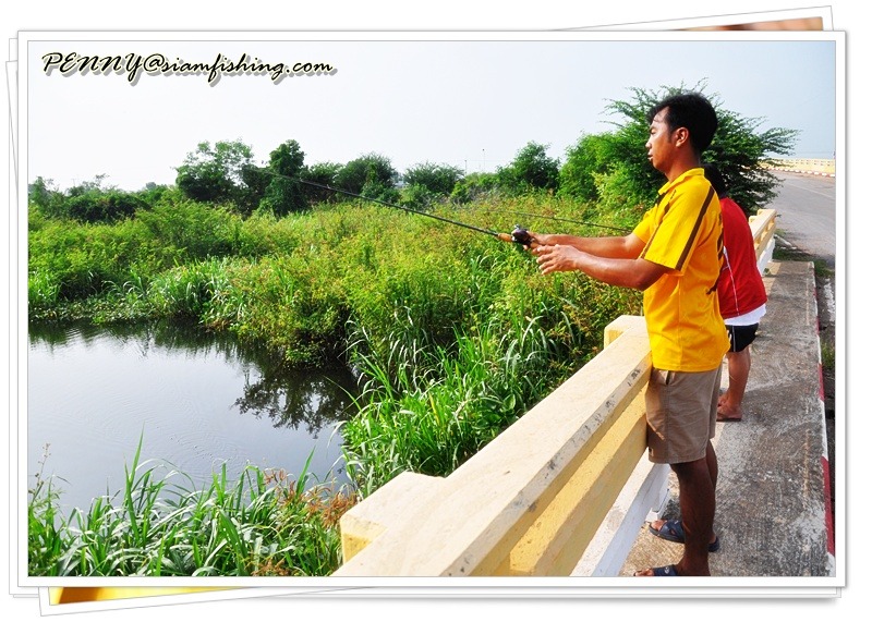คนไทยรักกัน :cheer:


ลากันด้วยภาพนี้ครับ ทริฟสั้นๆแต่ประทับใจ :grin:
