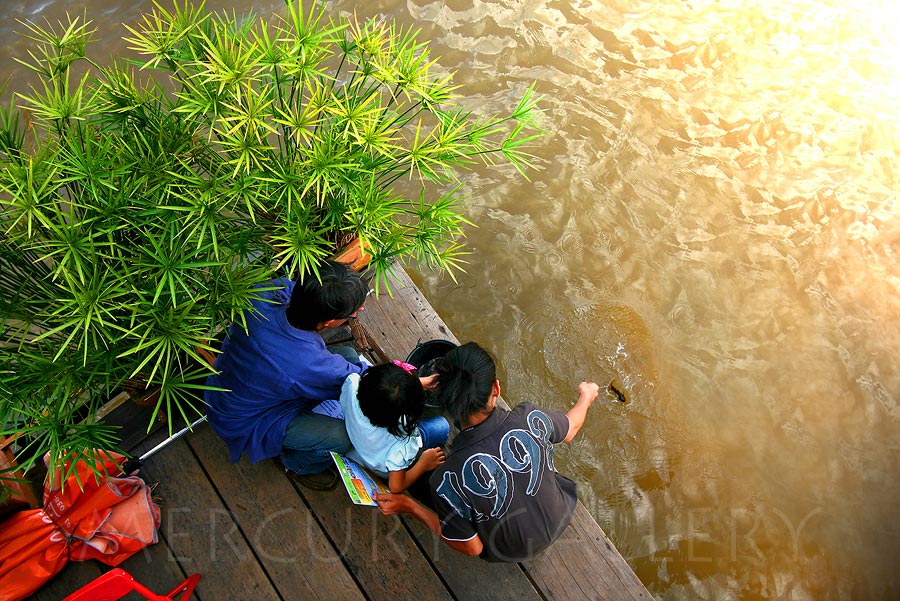 ภายในตลาดที่ติดริมน้ำ มีคนไปทำบุญปล่อยปลา ปล่อยเต่ากันเยอะครับ ส่วนผมตกอย่างเดียว  :laughing: