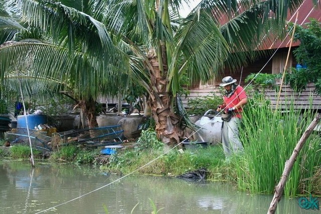 + + ป่าเหน่ง... หาเหยื่อใหญ่เลย....! 