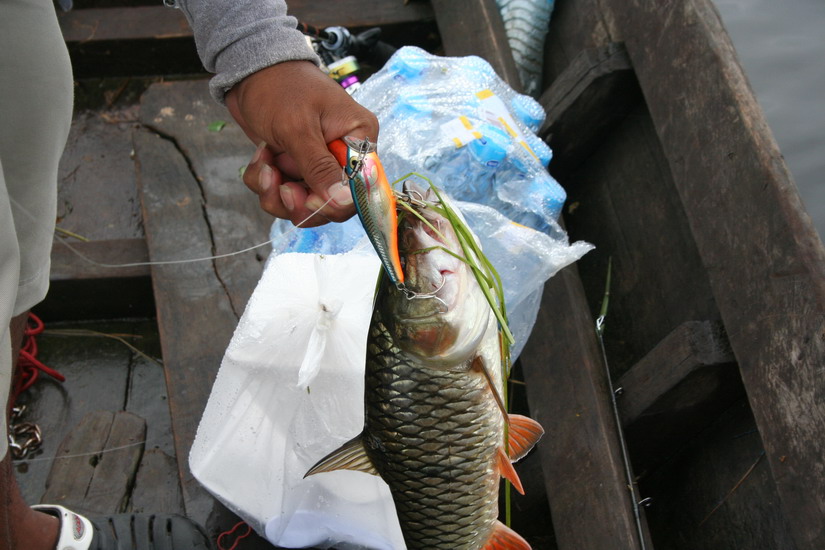งานของเขาครับ SP 9  Rapala    :cheer:
************************
สวั