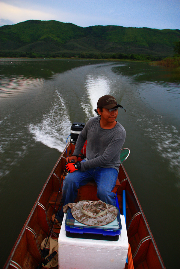 ล่องเรือกลับฝั่ง..ในเวลาหกโมงเย็นพอดี....จบทริปไปแบบหงอย ๆ แบบนี้แหล่ะจ้า...
ช่วงนี้แก่งกระจาน ปลาม