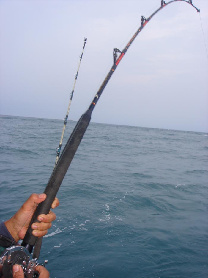  [q]+1 มาทันปลาพอดีเลยขอดูด้วยคนตรับน้า[/q]
มาช่วยกันเย่อปลาด้วยครับน้า [b]arun-mp[/b]

สวัสดีครั