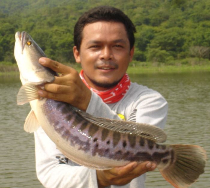 ขนาดย่อมๆๆครับ คอยติดตามตัวต่อไป ข