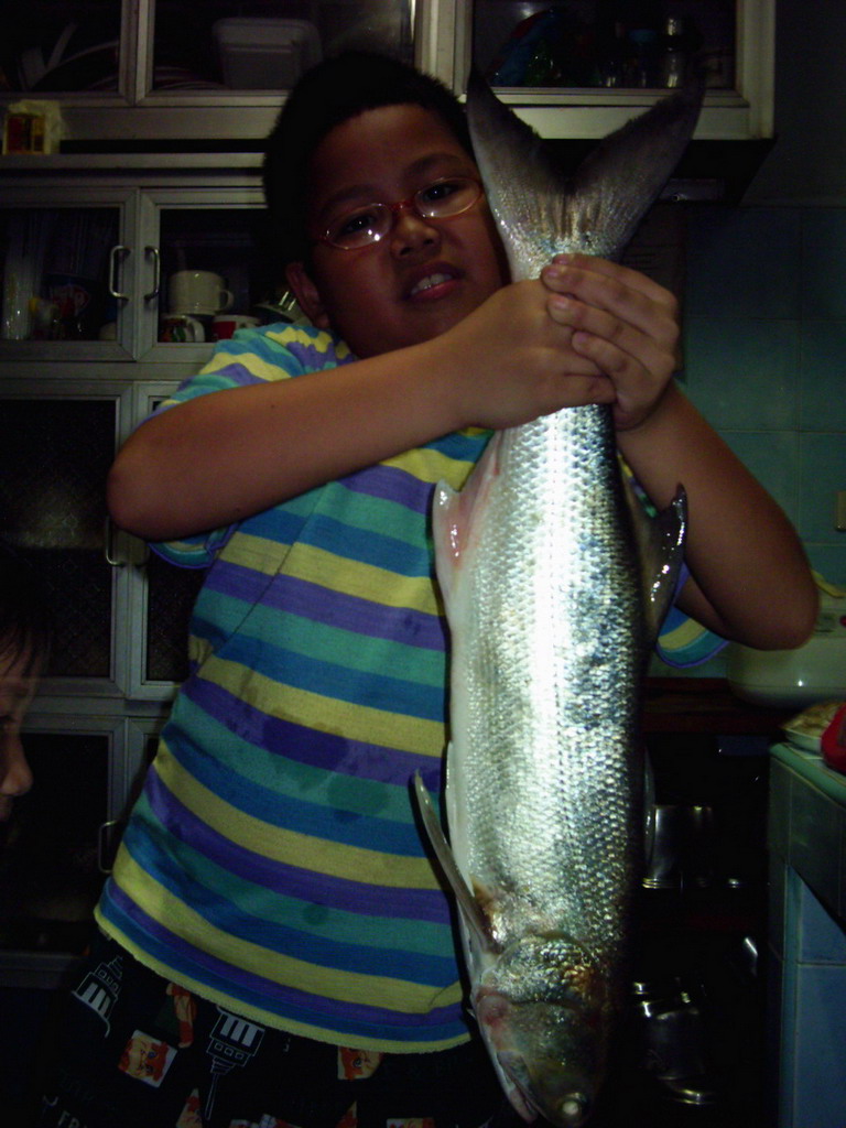 ตอนที่ผมถ่ายรูปปลา  เจ้าลูกชาย  กะลูกสาว เข้ามาตามดู  เห็นกุเราใหญ่   ถึงกับอุทาน  "โอ้วว  ป๊า ทำไม