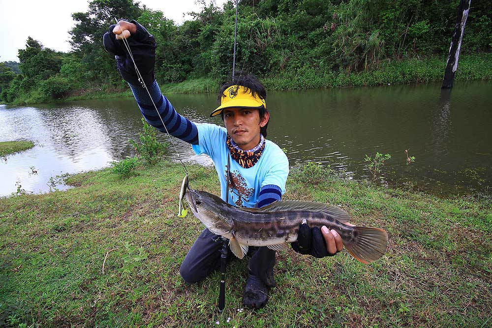 ตัวนี้ซัดกบของน้าณัฐเข้าไปเต็มๆครับ
 :smile: :smile: :smile: