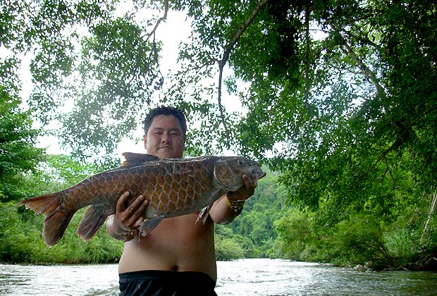 ของขวัญจากธรรมชาติ 