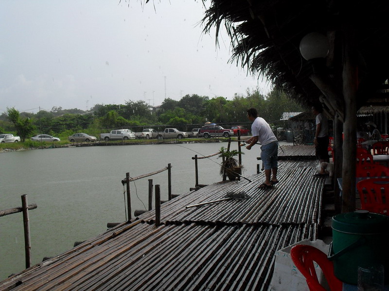 ฝนตกหนักมาทุกทีแล้ว ทาง ด้านกุ้งสด 