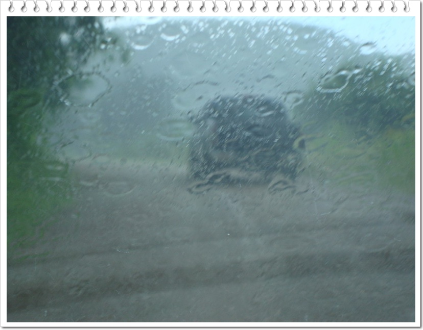 นั่นไง...ฝนตกแล้วจ้า  :cheer: :cheer: