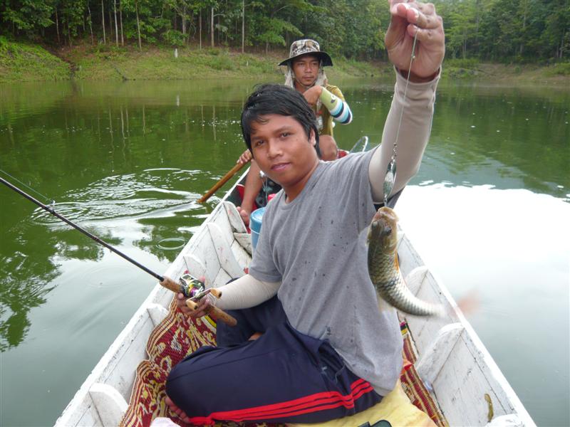 เห็นฝูงกระสูบ ไล่กัดลูกปลาอยู่แปปๆ