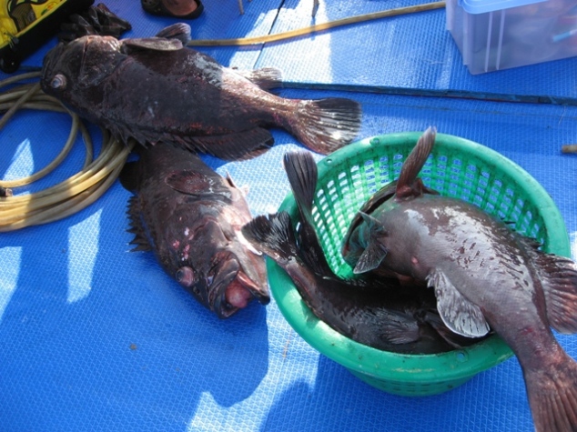 ชั่วโมงเก๋าถ่านมั่วดิ้งค์  :grin:
