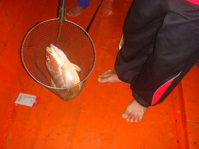 ทุกคนเดาถูก...มันคือ สิ่งที่ต้องการ.....
